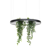 Żyrandol Rio Bio LED 78 cm czarny 3000K