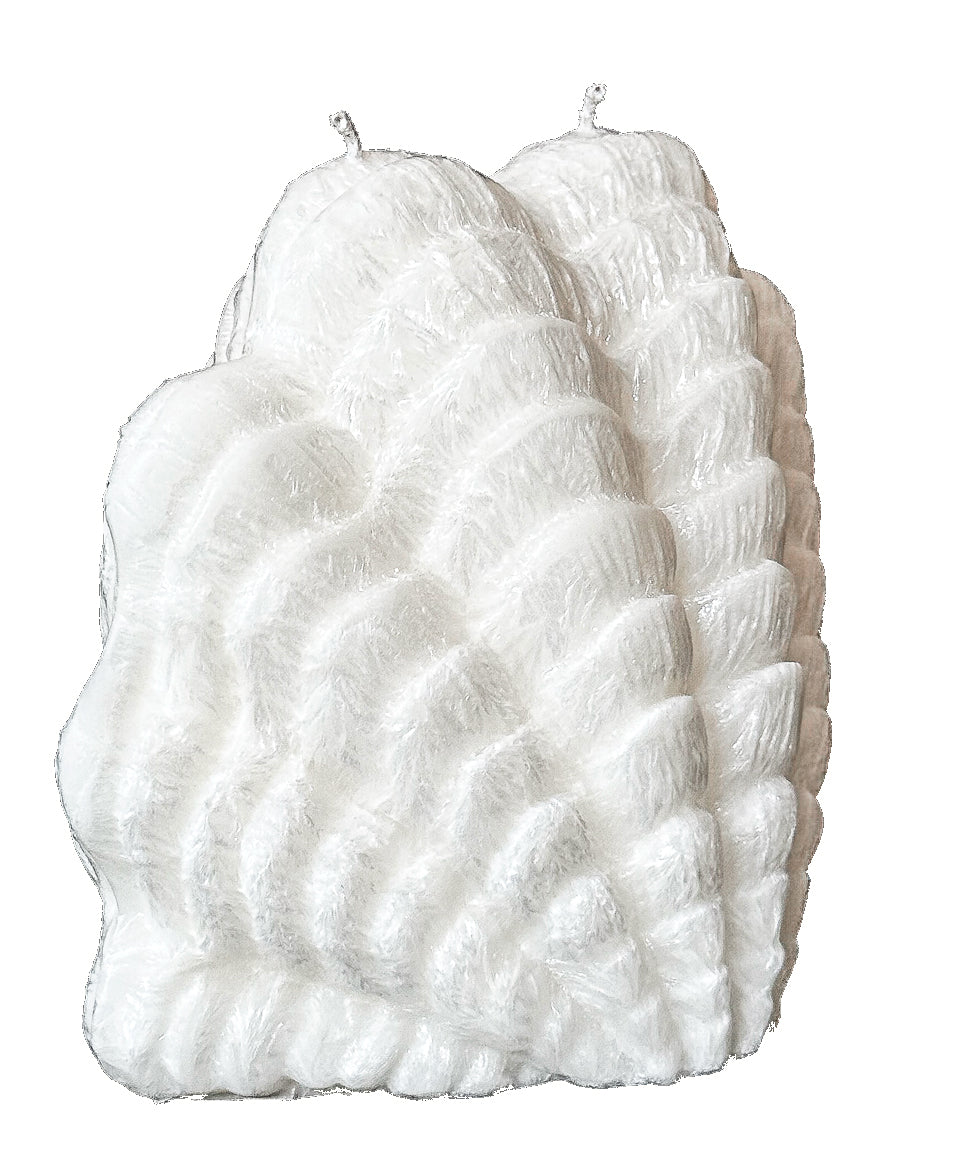 Świeca z wosku palmowego Shell Big 640 g