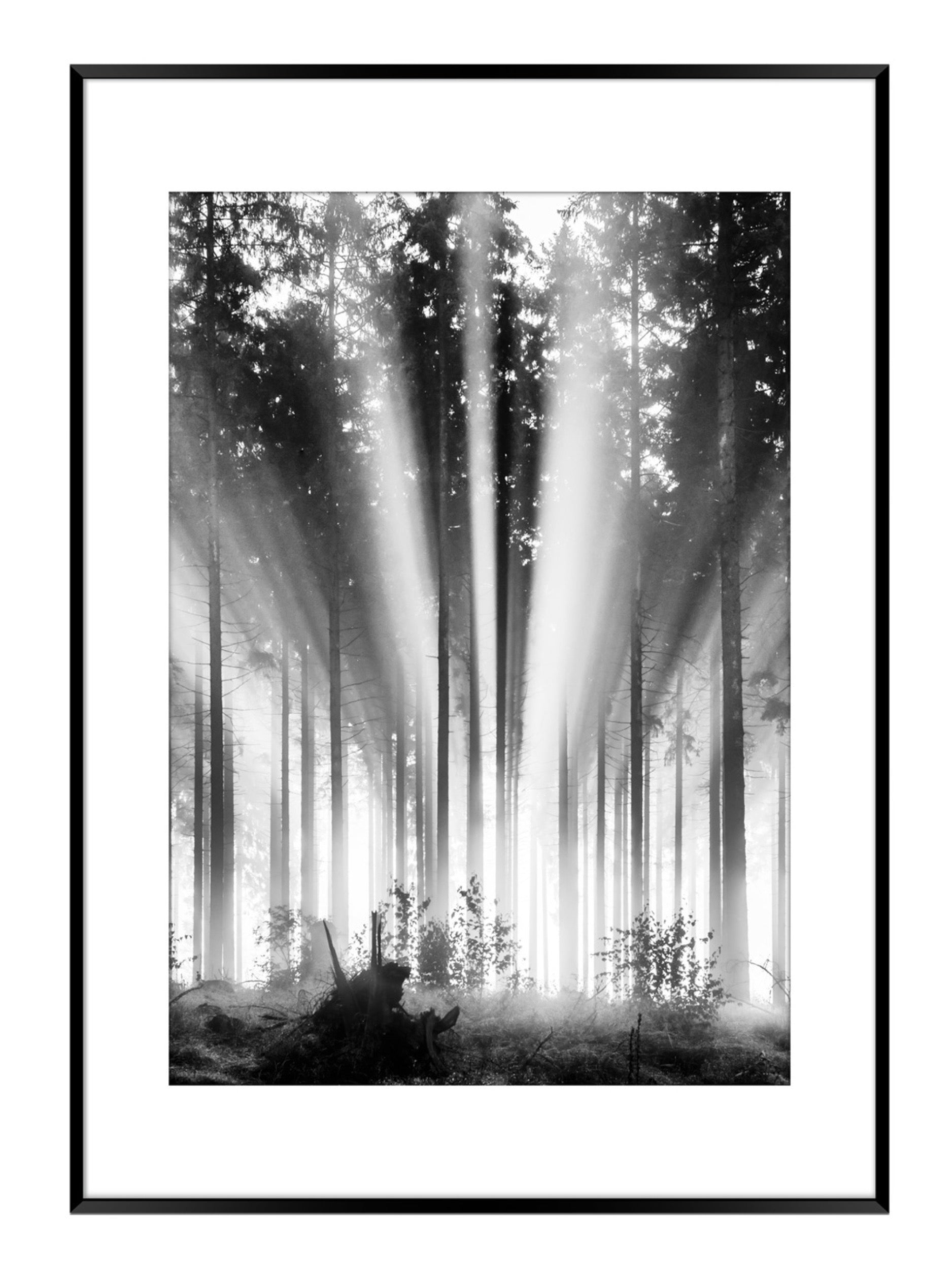 Obraz w czarnej ramie Fog and Sun 70x50 cm