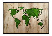 Obraz w czarnej ramie ze sztucznym mchem Green Deco 100x70 cm