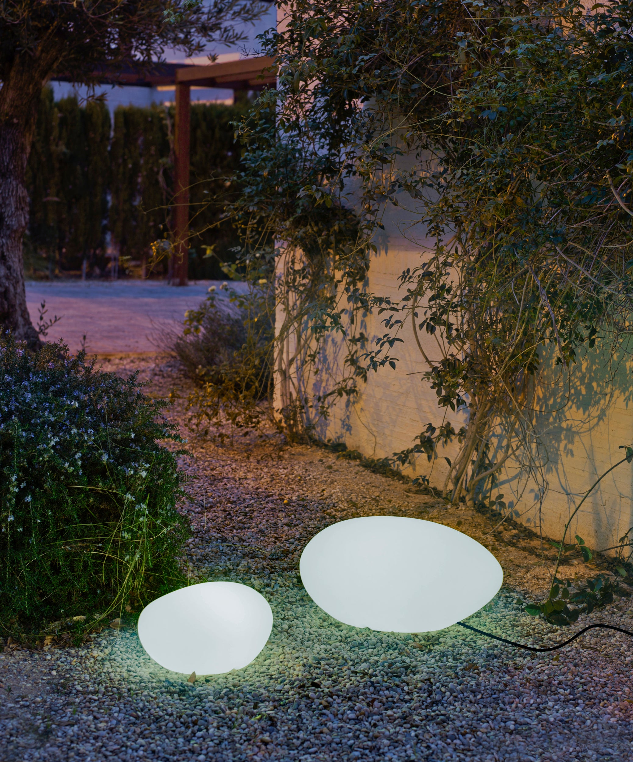 PETRACABLE_2