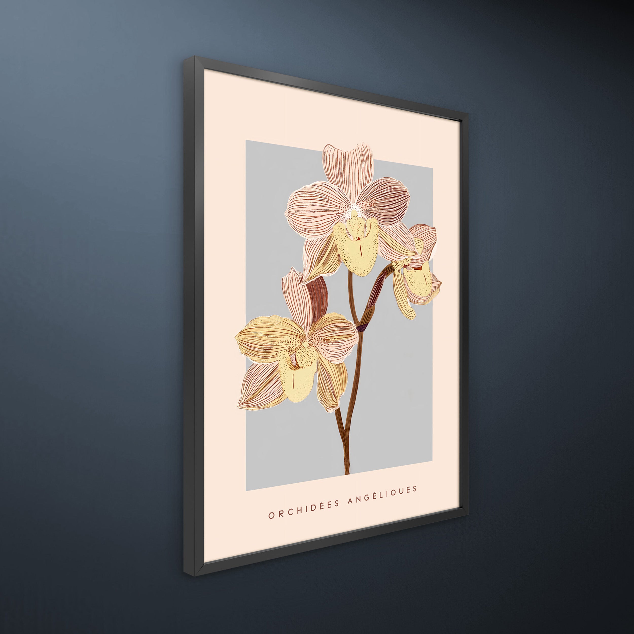 Obraz w czarnej ramie Pink Orchids 70x50 cm